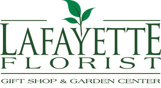 Fertilome Ultimate Potting Mix Lafayette Florist